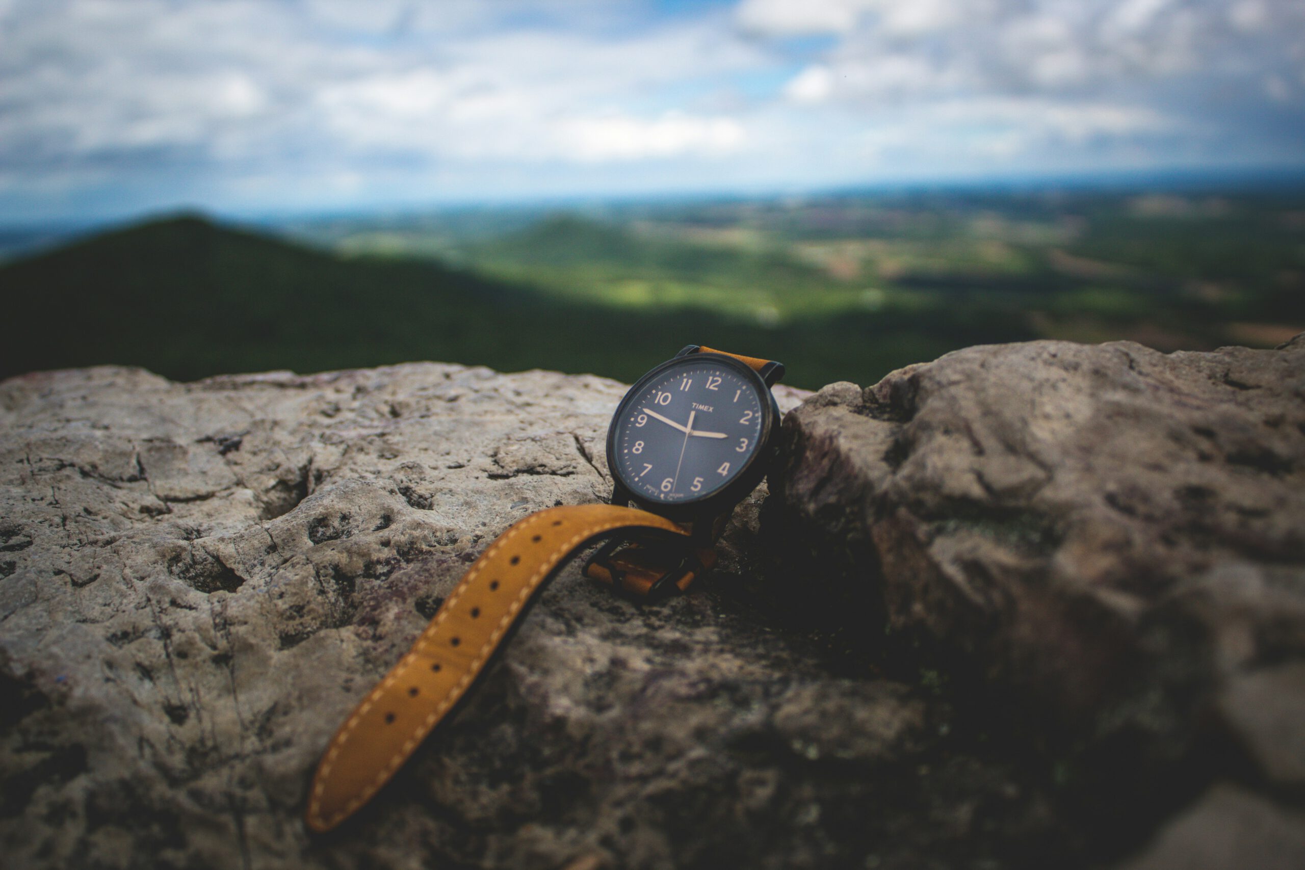 bradley-ziffer-umLlSREhfp0-unsplash